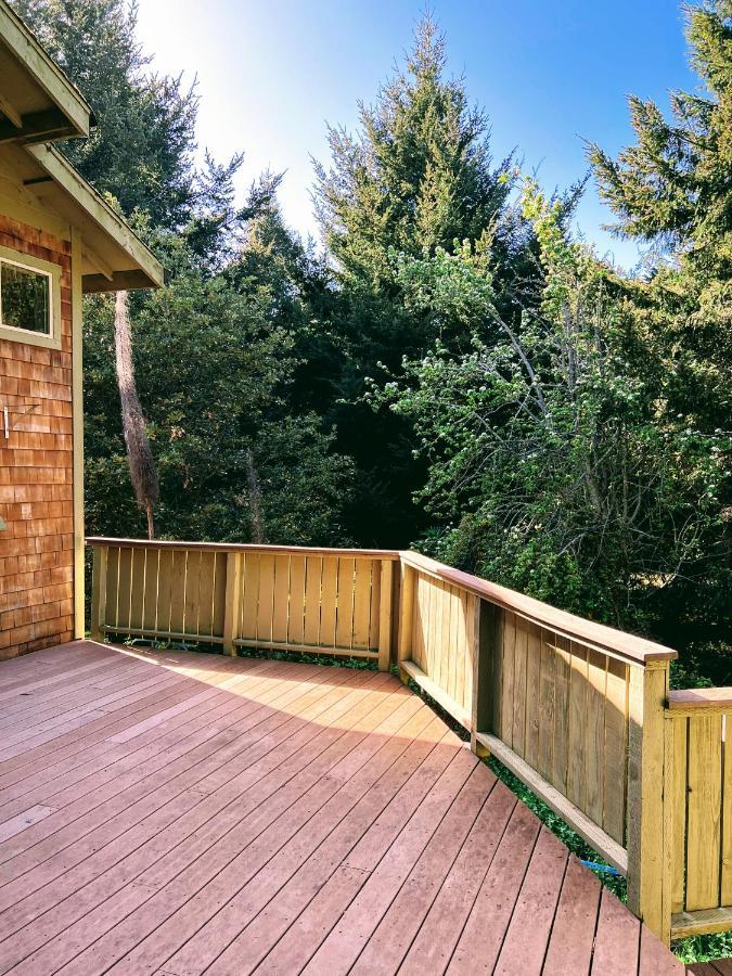 Вілла Contemporary House With Ocean View Decks Shelter Cove Екстер'єр фото